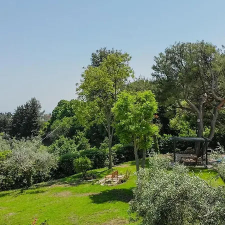 Villa Petra